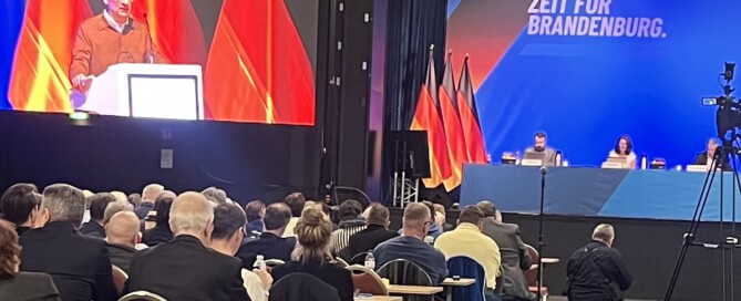 AfD Brandenburg