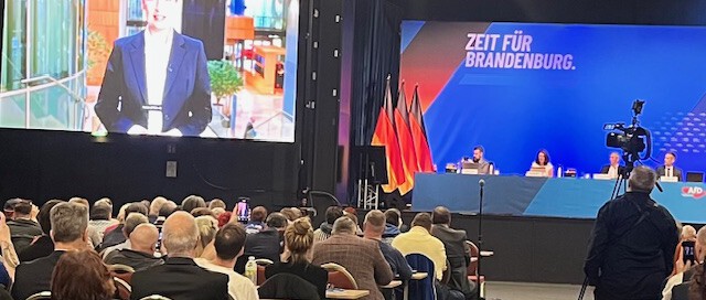 AfD Brandenburg